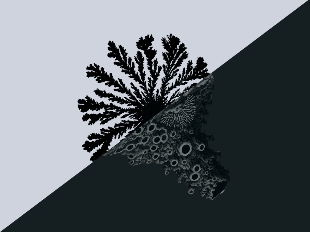 standard-image